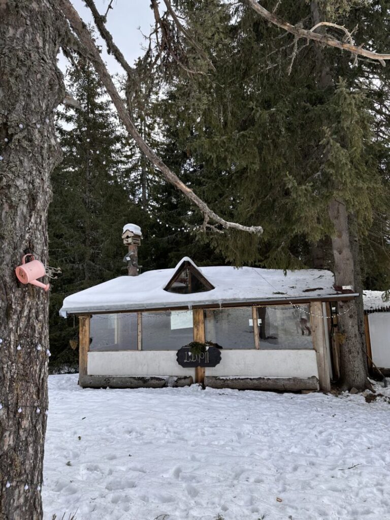 Old Pine Bungalow