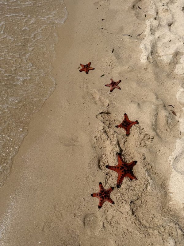 Starfish-beach-Phu-quoc